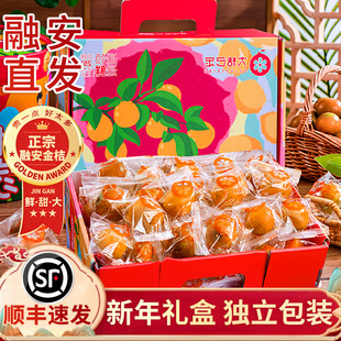 顺丰广西融安金桔新鲜水果年货礼盒脆蜜送礼走亲戚金柑官方旗舰店