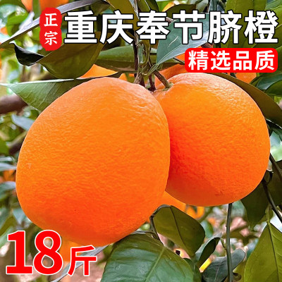 【顺丰可选】奉节脐橙坏果包赔