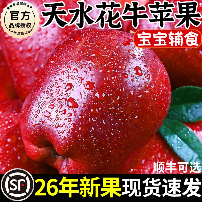 甘肃天水花牛苹果整箱图片