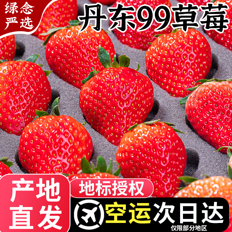 正宗丹东草莓99新鲜红颜东港牛奶奶油当季九九大草莓果酱水果礼盒