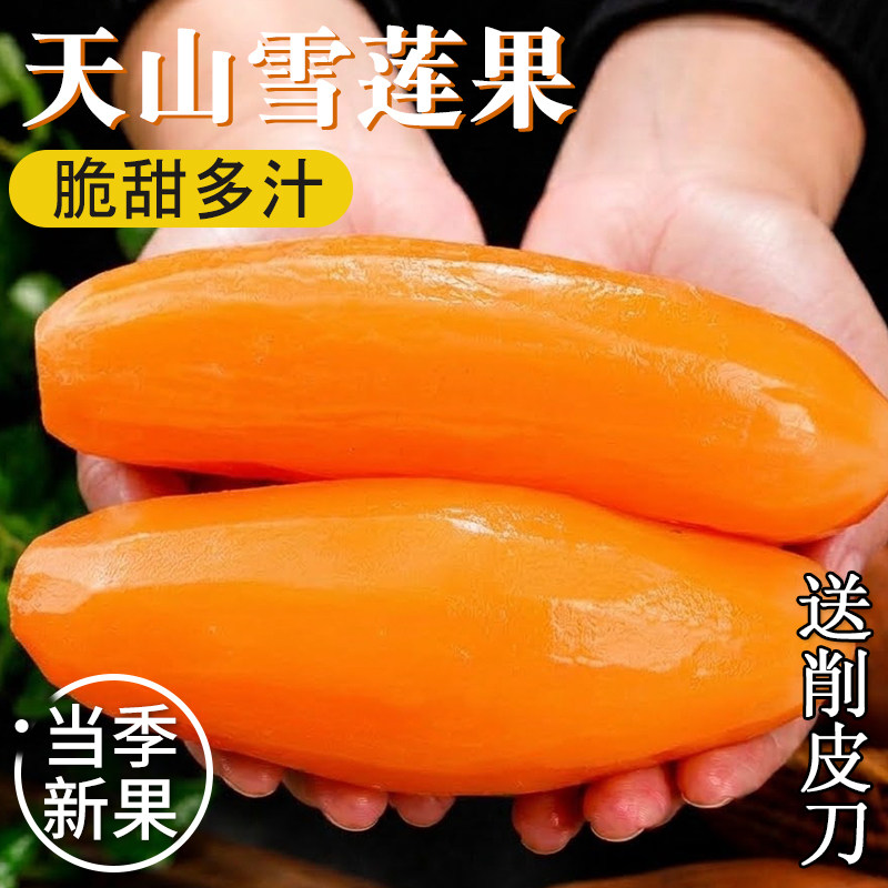 当季新鲜产地直发天山雪莲果