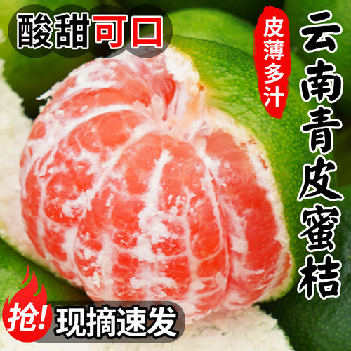 【热卖推荐】云南早熟青皮蜜橘