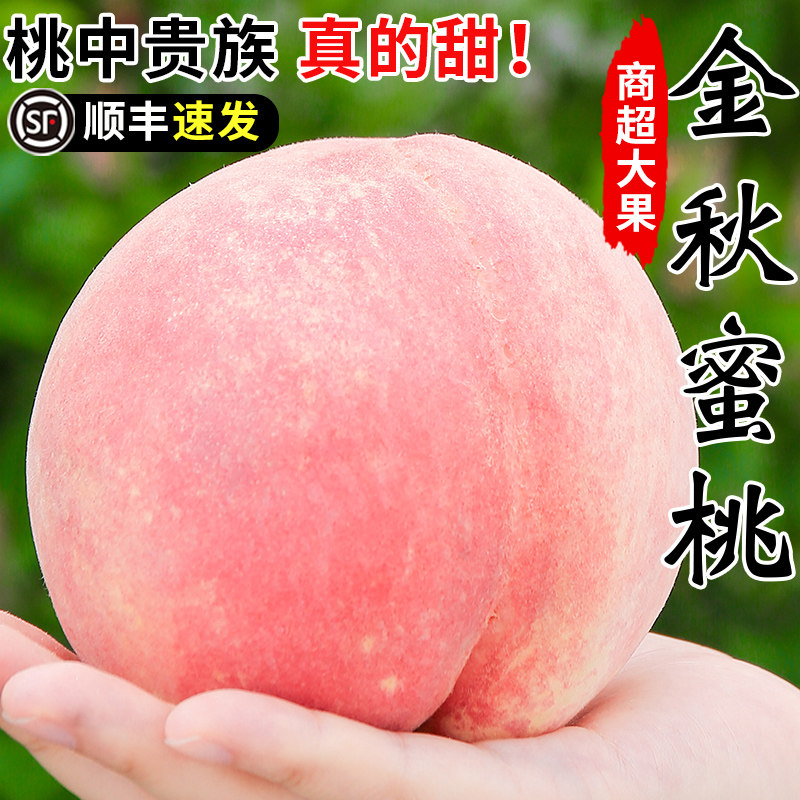 金秋红蜜桃新鲜水果5斤山东桃子特大当季整箱蒙阴脆甜蜜桃礼盒高性价比高么？