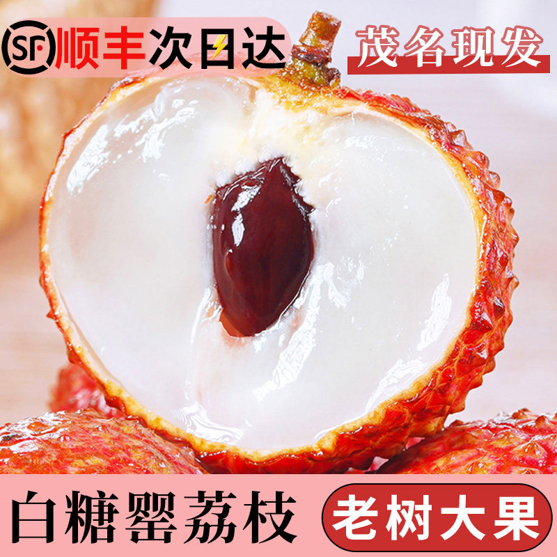 【顺丰速发】广东茂名白糖罂荔枝