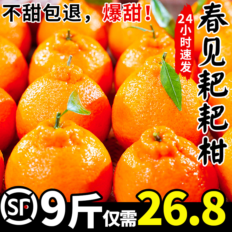 四川特级春见耙耙柑正宗粑粑柑杷杷橘子当季整箱10新鲜水果丑桔斤