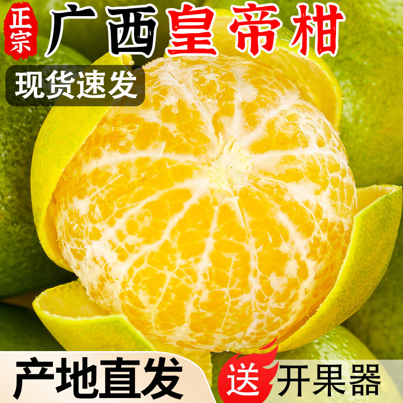 正宗广西皇帝柑新鲜橘子水果当季现摘沃蜜桔子贡柑甜橘老树大果