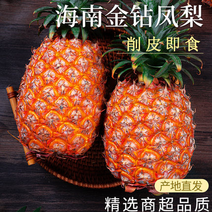海南金钻凤梨新鲜水果手撕凤梨大果非菠萝应季当树上自然熟砖