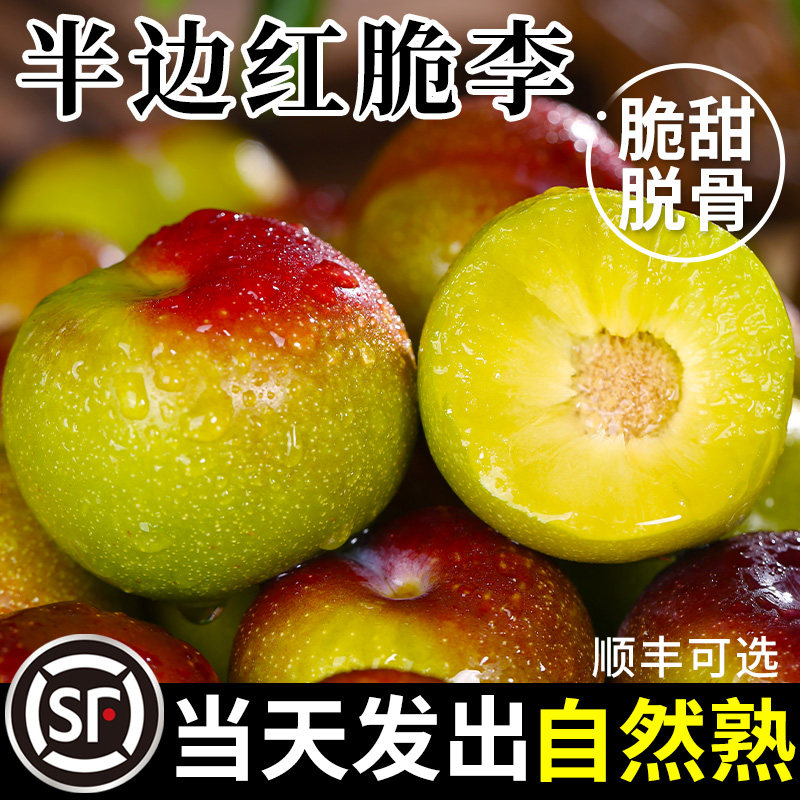 【当天速发】四川半边红脱骨脆李