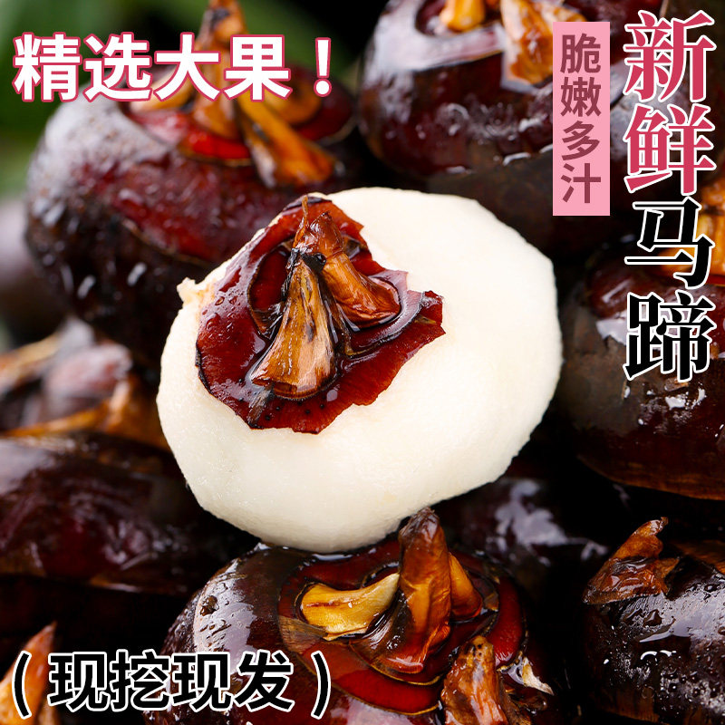 广西新鲜马蹄荸荠5斤水果蔬菜脆甜大果带泥现挖地梨地栗整箱包邮,水产肉类/新鲜蔬果/熟食,荸荠/马蹄,淘宝优惠券,粉丝福利购,淘宝优惠卷