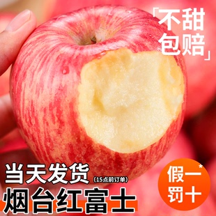 包邮 正宗山东烟台红富士苹果新鲜水果应当季 整箱栖霞脆甜时令水果