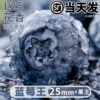 高山云南蓝莓现摘顺丰孕妇高端整箱当季新鲜水果怡颗25花香蓝梅L