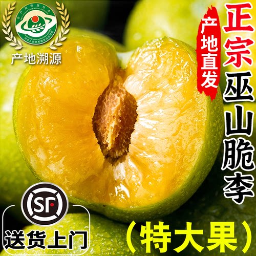 巫山脆李丨脆甜脱骨丨顺丰送上门