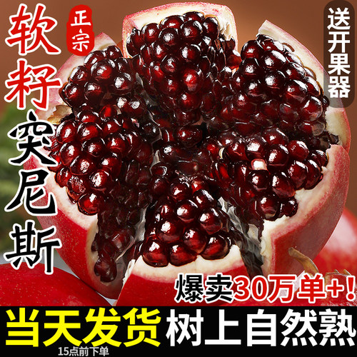 【当天发货】正宗软籽突尼斯石榴