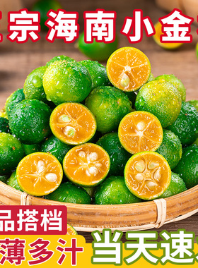 海南小金桔5斤小青柠新鲜青柑青桔皮薄当季水果青柠檬奶茶店专用