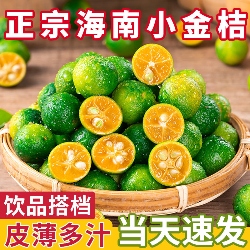 海南小金桔5斤小青柠新鲜青柑青桔皮薄当季水果青柠檬奶茶店专用