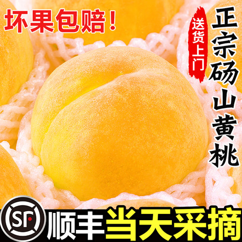 【官方推荐】正宗砀山黄桃