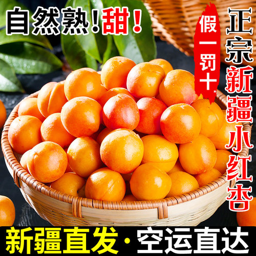 新疆小红杏·产地直发·假一罚十