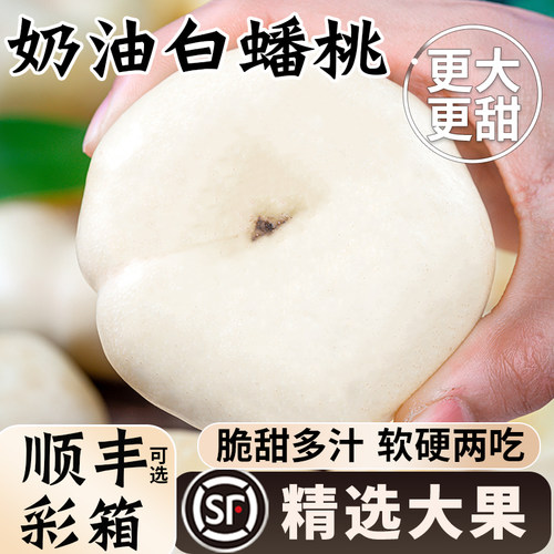 当季蒙阴奶油蟠桃自然熟甜