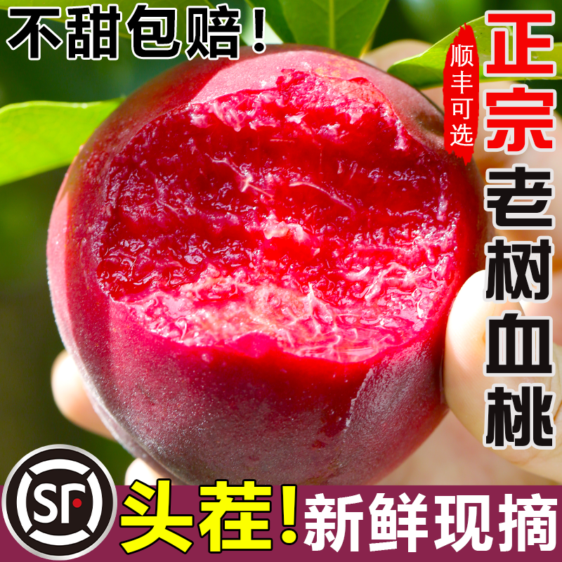 正宗老树血桃新鲜桃子5斤脆甜红肉当季头茬现摘红心农家水密毛桃