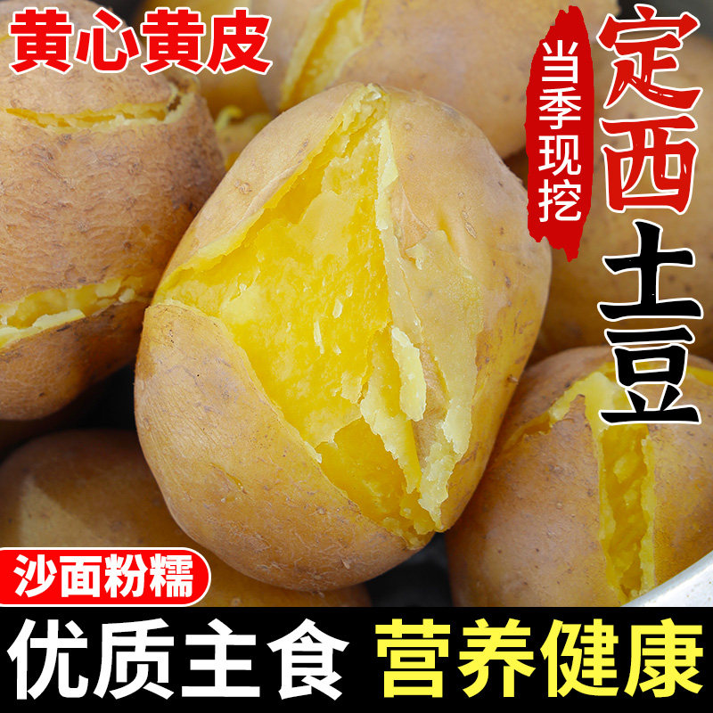 2026现挖定西土豆甘肃沙面土豆马铃薯洋芋黄皮黄心新鲜整箱批发