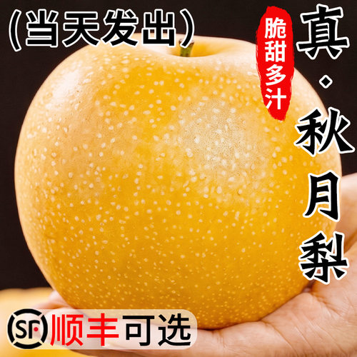 【热销爆款】正宗山东秋月梨