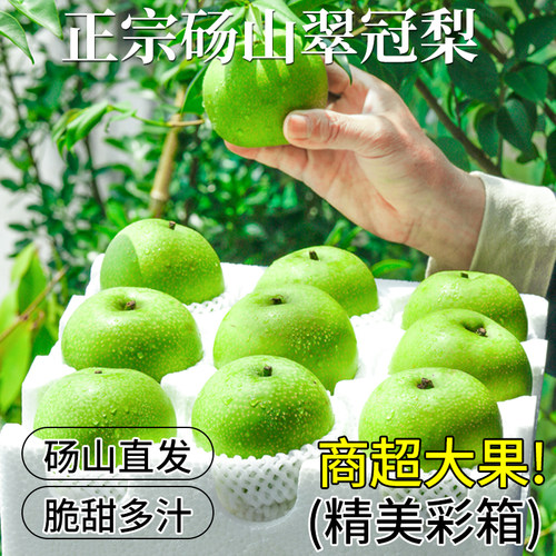 砀山直发·正宗翠冠梨·顺丰彩箱