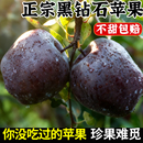 甘肃黑卡苹果黑钻新鲜水果当季 正宗冰糖平果红蛇粉面花牛孕妇整箱