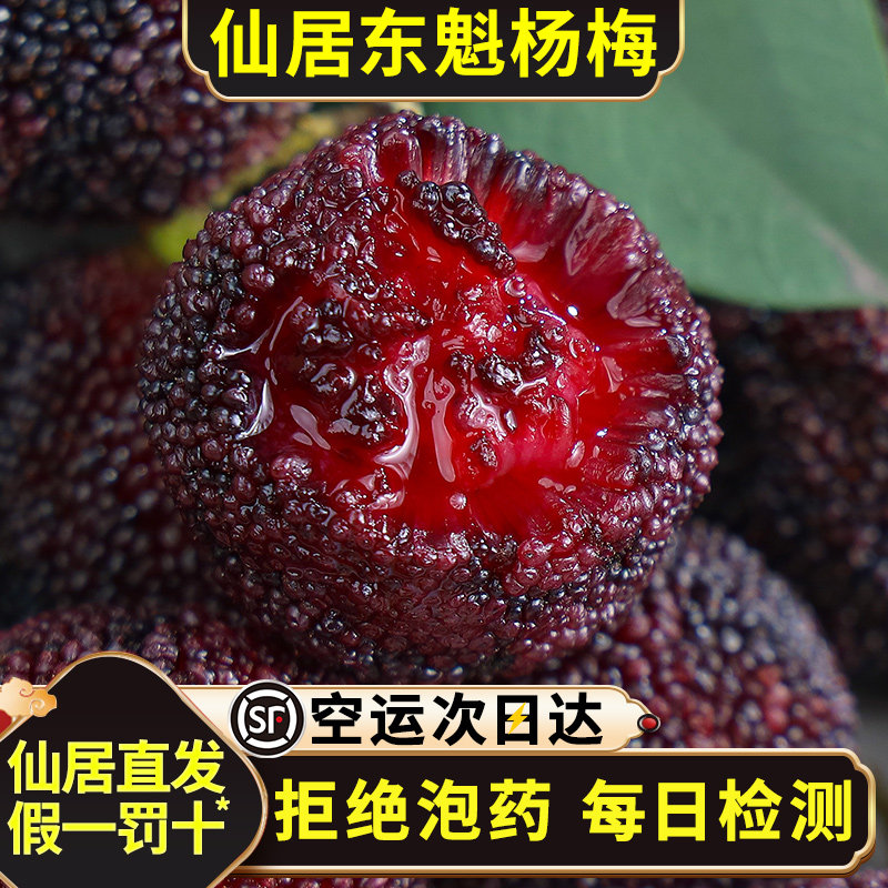 不泡药！现货仙居东魁杨梅空运发