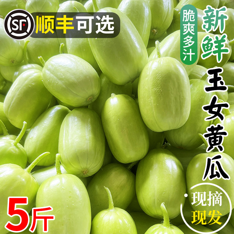 玉女黄瓜新鲜拇指黄瓜水果迷你小黄瓜旱白玉青瓜生吃山东蔬菜包邮,水产肉类/新鲜蔬果/熟食,黄瓜,淘宝优惠券,粉丝福利购,淘宝优惠卷