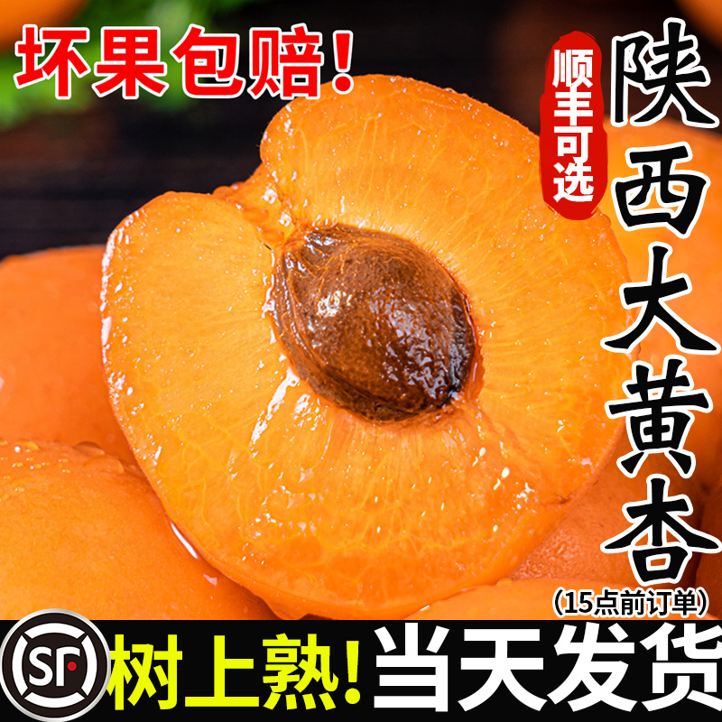 陕西大黄杏金太阳应当季孕妇酸杏包邮青杏子5斤甜杏新鲜水果整箱3