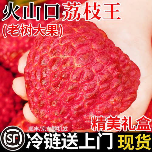 【顺丰送上门】荔枝王超大荔枝