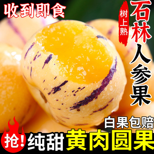 云南石林人参果丨黄肉到货即食