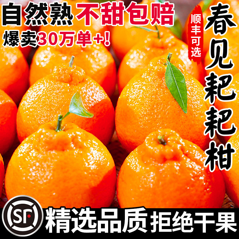 绿念春见耙耙柑整箱装天猫券后24.8元