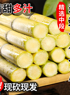 正宗云南黄金甘蔗9斤新鲜水果脆甜中段黄皮去皮甜杆批发整根包邮