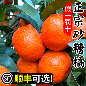 顺丰正宗广西砂糖橘年货送礼10水果新鲜当季橘子整箱斤沙糖桔
