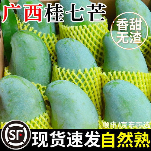 【热销推荐】正宗广西百色桂七芒