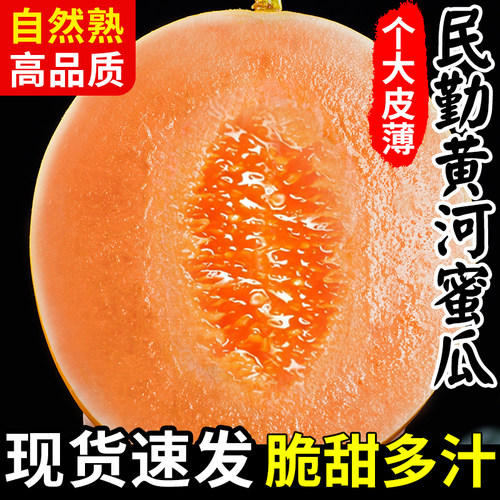 热销正宗民勤黄河蜜瓜脆甜如蜜