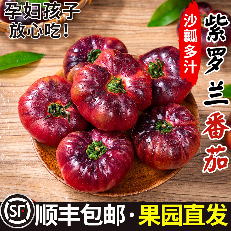 【爆款热销】紫罗兰番茄沙瓤甜图片