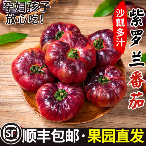 【爆款热销】紫罗兰番茄沙瓤甜