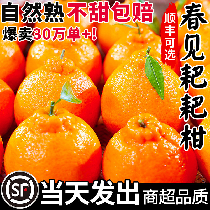 绿念春见耙耙柑新鲜当季丑桔整箱25.8元