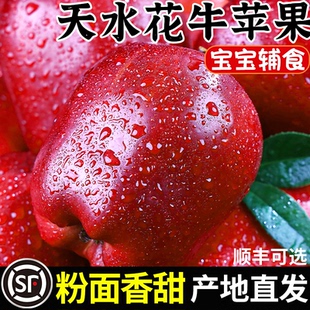 甘肃天水花牛苹果新鲜水果圣诞平安果当季正宗红蛇粉面丑果整箱10