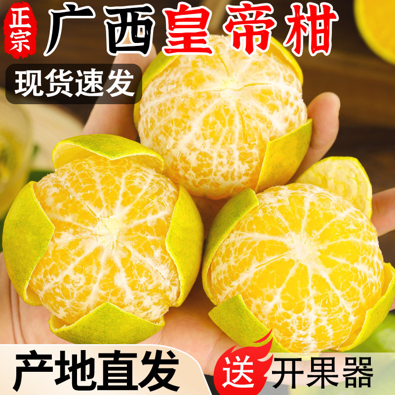 【产地直发】正宗广西皇帝柑