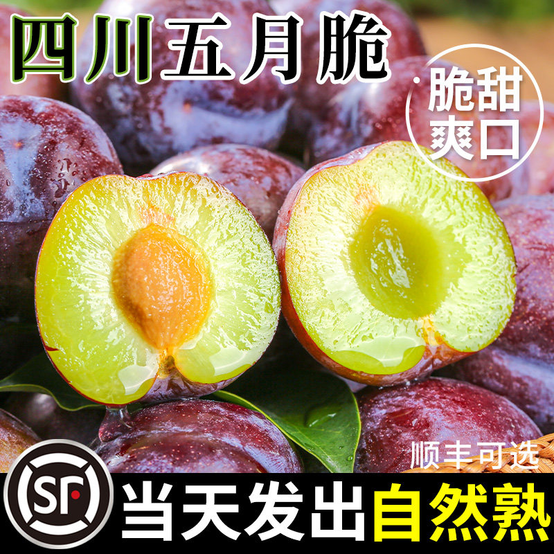 【当天速发】四川五月脆脱骨脆李