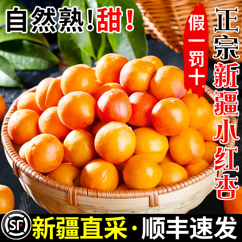 正宗新疆小红杏新鲜水果新疆直发杏子阿克苏吊干杏当季整箱4斤甜