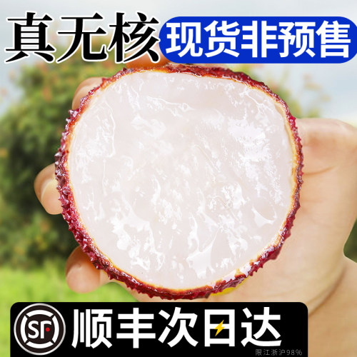 现货·顺丰冷链正宗无核荔枝