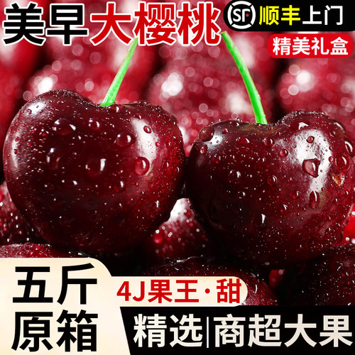 美早大樱桃新鲜水果大连产地