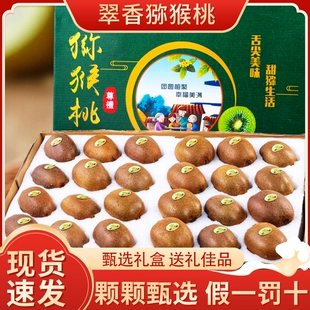 陕西周至翠香猕猴桃年货礼盒新鲜水果当季 整箱5斤弥猴奇异果