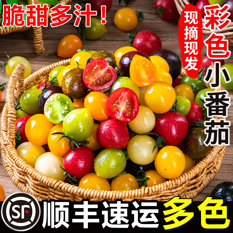 顺丰新鲜彩色小番茄当季现摘圣女果混合七彩七色酸甜多汁水果蔬菜