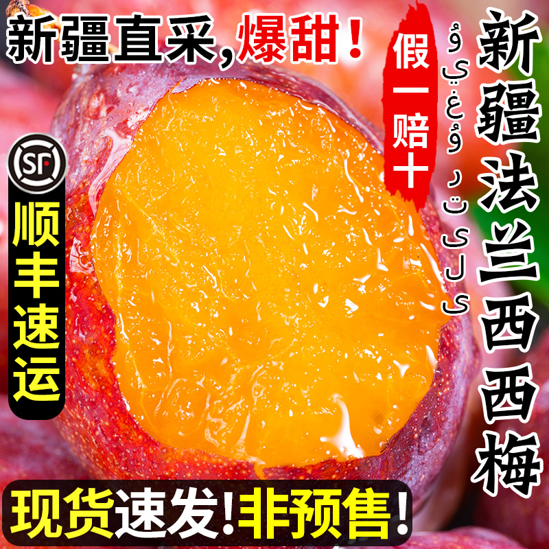 正宗新疆法兰西西梅5喀什特级水果新鲜当季整箱斤官方旗舰店甜小