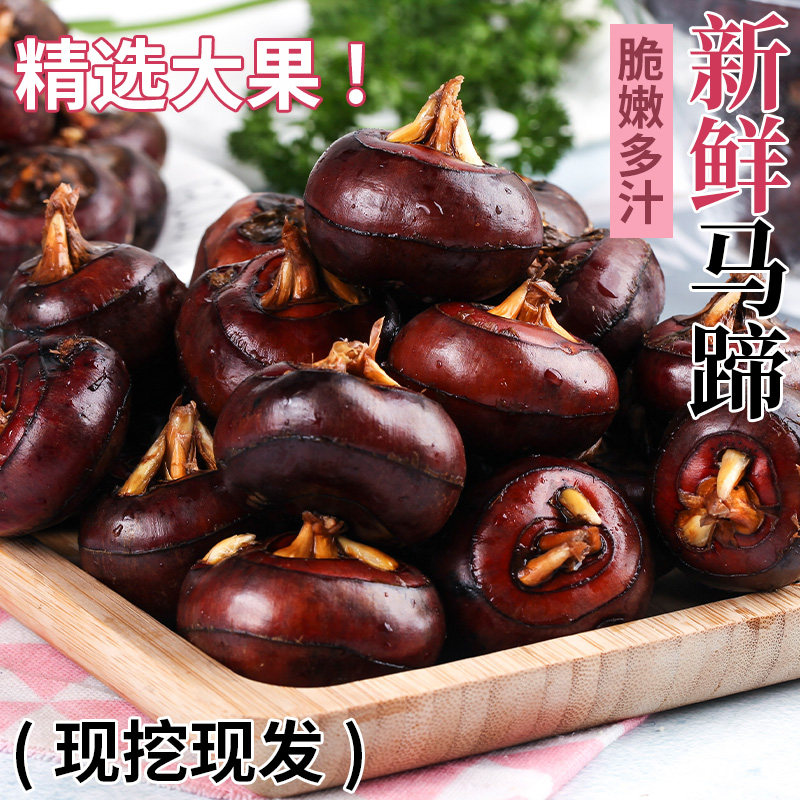 广西新鲜马蹄荸荠5斤水果蔬菜脆甜大果带泥现挖地梨地栗整箱包邮,水产肉类/新鲜蔬果/熟食,荸荠/马蹄,淘宝优惠券,粉丝福利购,淘宝优惠卷